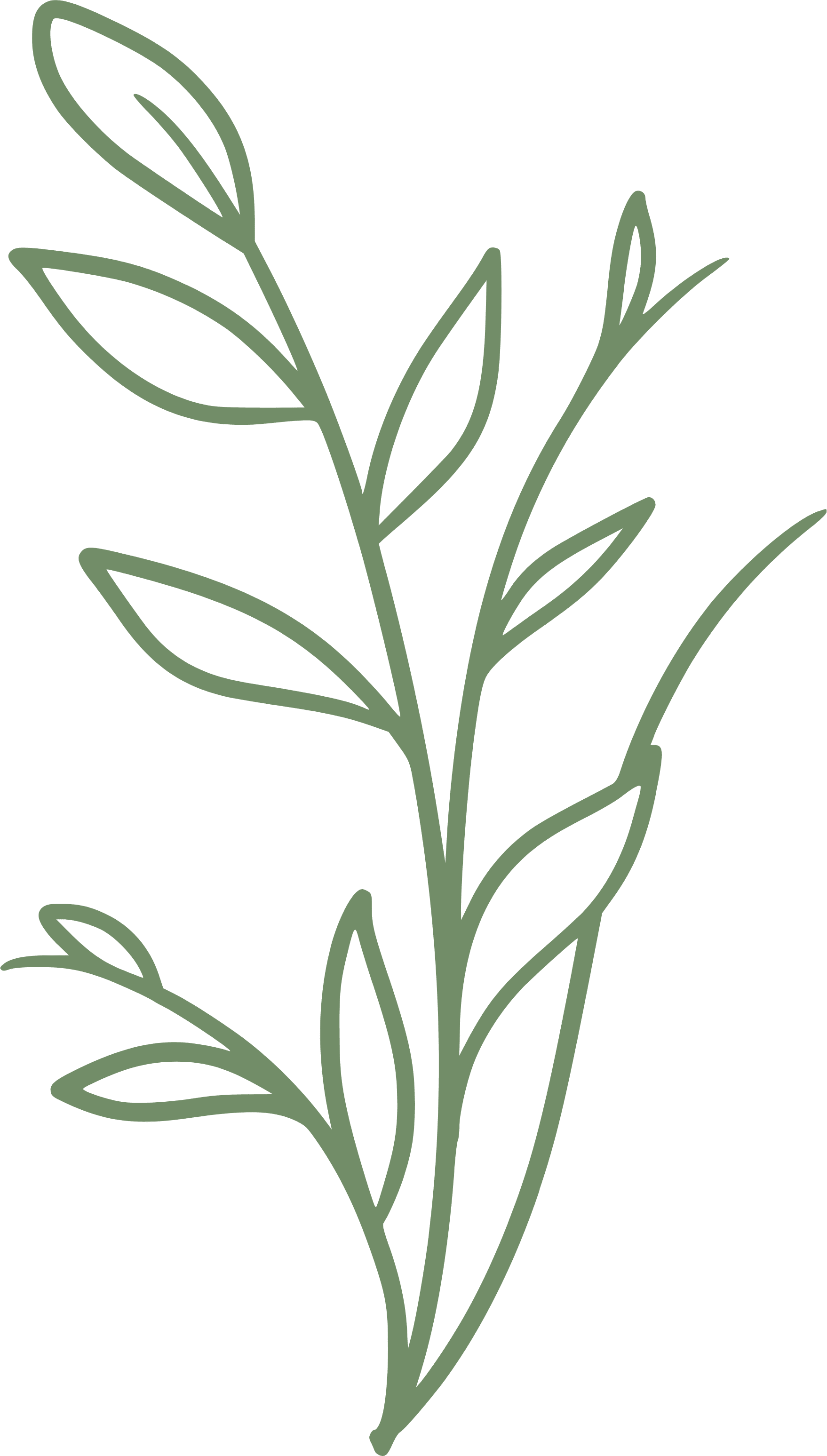 blatt-1