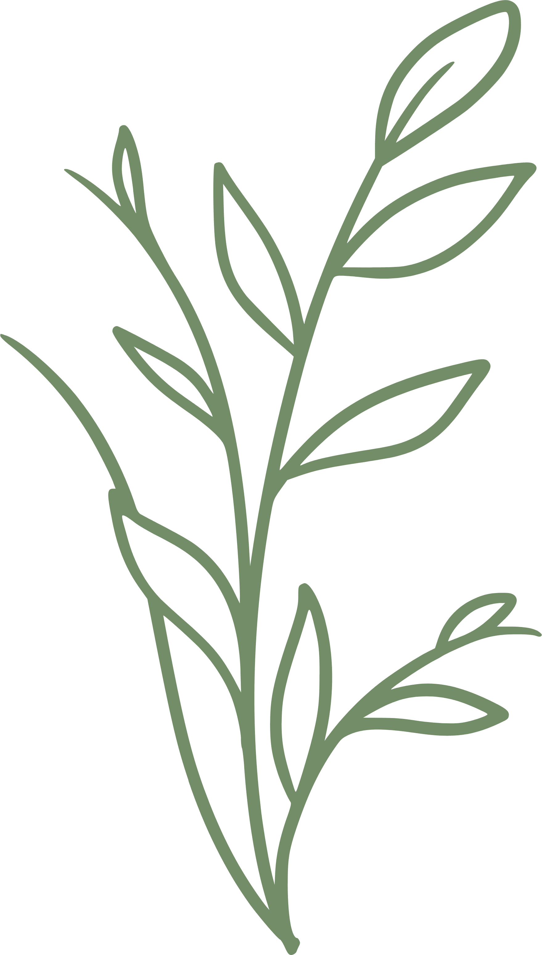 blatt-2